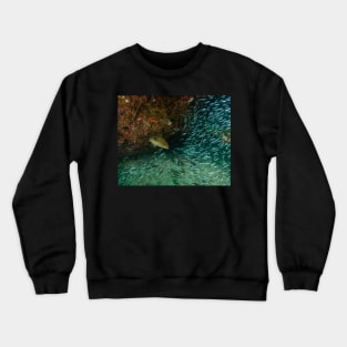 Grouper Hunting School of Minnows Crewneck Sweatshirt